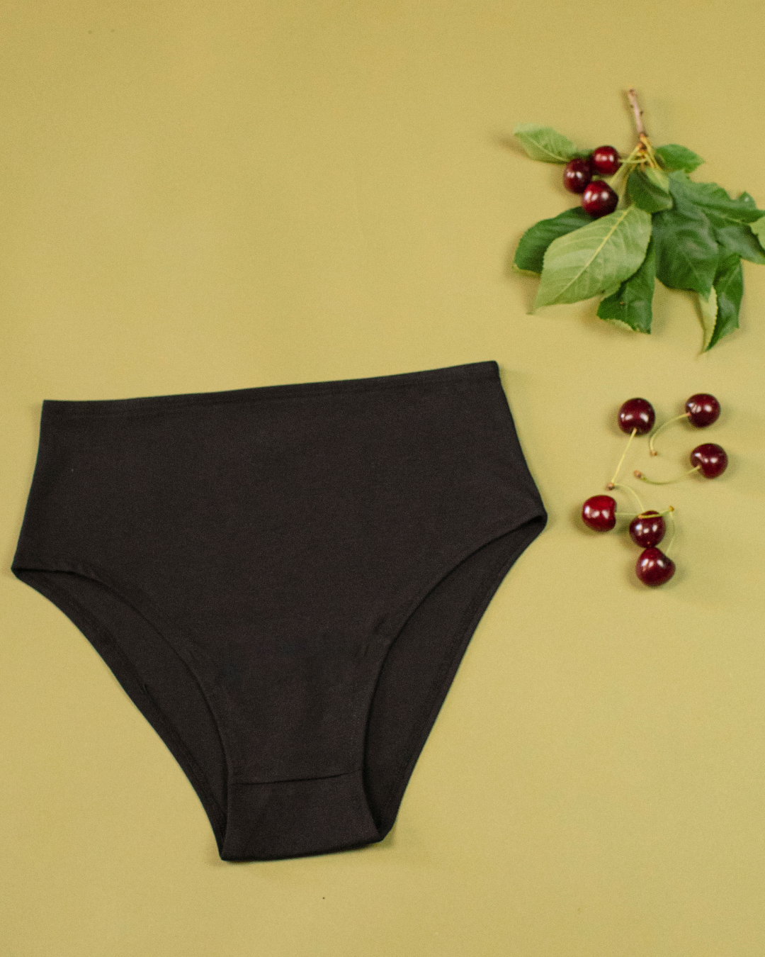 Lot de 2 culottes taille haute en coton bio « Lilly »